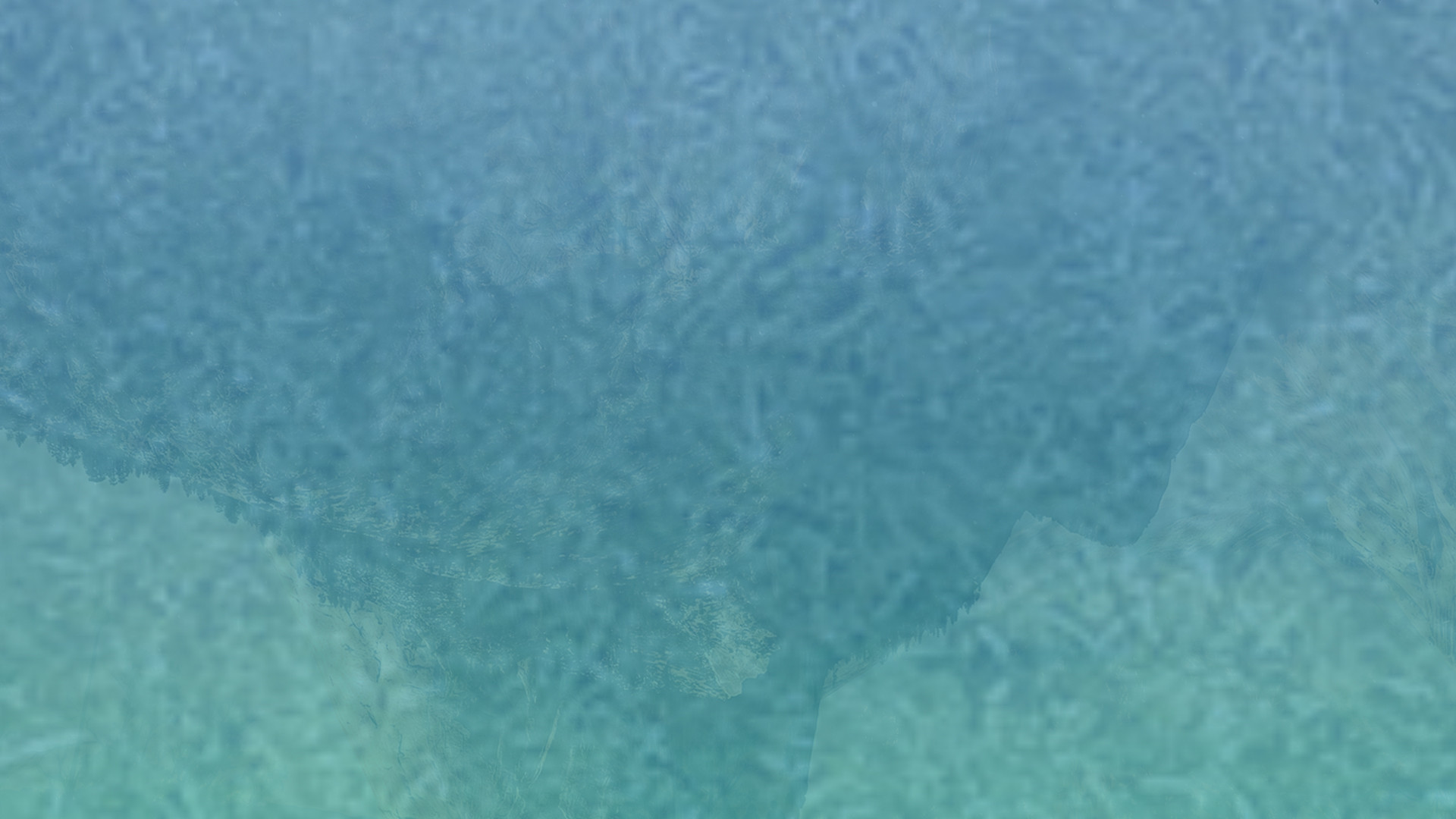 小黑ddos压力测试平台